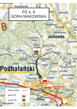 PS 4, 8 G&oacute;ra Makowska