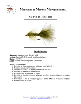Fiche de montage PDF - Moucheurs du Montr&eacute;al M&eacute;tropolitain