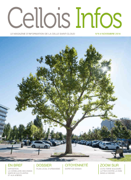 la cordill&egrave;re des andes - Mairie de La Celle Saint