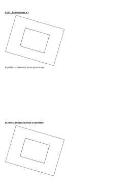 ExB1 : Reproduction n&deg;1 Reproduis ci