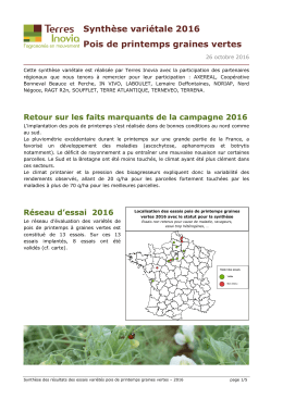 Pois de printemps graines vertes