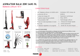 Aspirateur BALAI 2EN1 sans fil