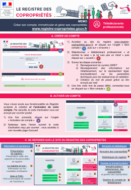 télédéclarant professionnel