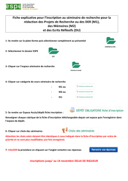 la fiche explicative du séminaire de recherche