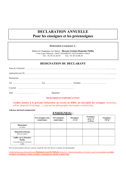 DECLARATION ANNUELLE enseignes