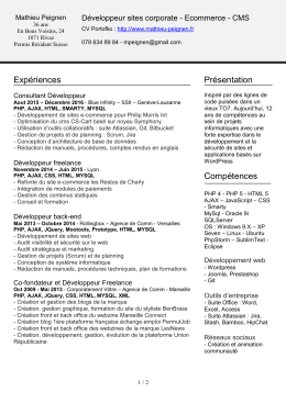 DOWNLOAD CV – French version