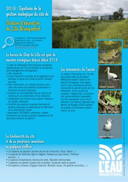 Step Lille - Eau et Force