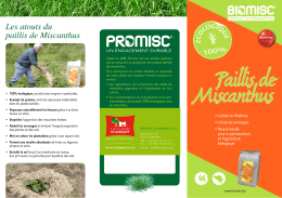 Description d&eacute;taill&eacute;e (format pdf)