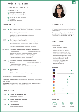 CV Chef de projet 2016