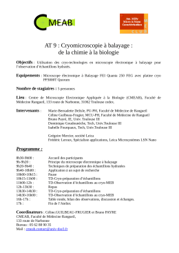 AT 9 : Cryomicroscopie &agrave; balayage : de la chimie &agrave; la