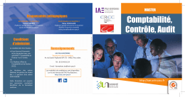 Comptabilit&eacute;, Contr&ocirc;le, Audit - IAE Pau