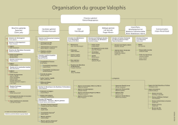 Organisation du groupe Valophis