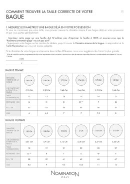 T&eacute;l&eacute;charger le fichier