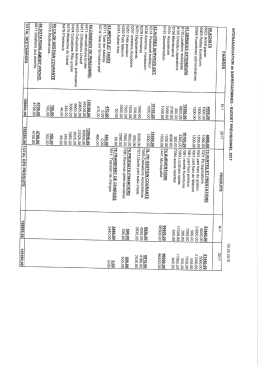 Budget prévisionnel 2017