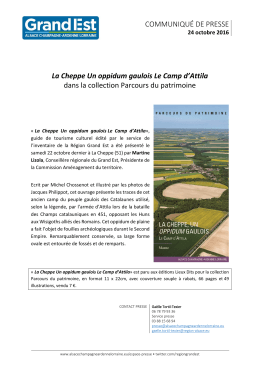 T&eacute;l&eacute;charger au format pdf