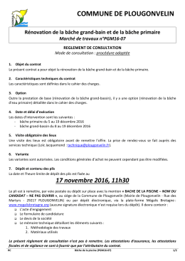 COMMUNE DE PLOUGONVELIN R&eacute;novation de la b&acirc;che grand