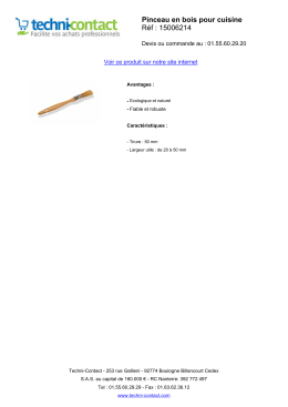 Pinceau en bois pour cuisine - 15006214 - Fiche - Techni