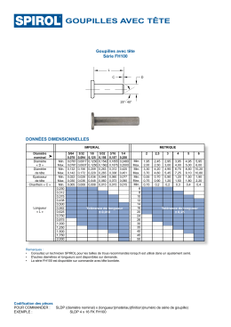 Goupilles avec t&ecirc;te