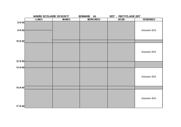 ANN&Eacute;E SCOLAIRE 2016/2017 SEMAINE 44 EDT : RECYCLAGE SST