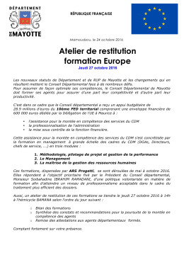 Atelier de restitution formation Europe