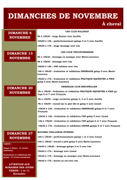 novembre 2016 cheval