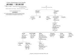 burki / burchi - Famille Ghika