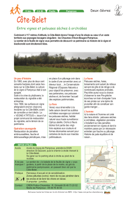 CREN Poitou