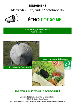le panier de la semaine
