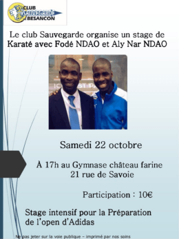 Page 1 4 - /-"E CLUB -: zr:Illi)3 - "BESANCTON Le club Sauvegarde