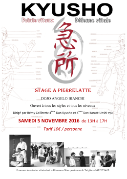 T&eacute;l&eacute;charger l`Affiche du stage