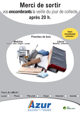 Affiche local poubelle - encombrants - Syndicat Azur