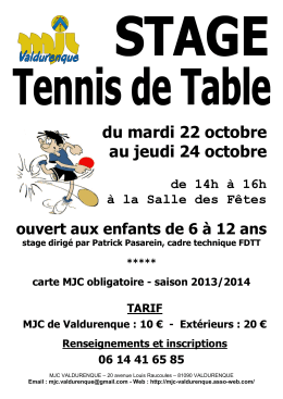 Ms_stage tennis de table