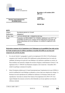 13196/16 ADD 1 REV 1 lle/AS/pad 1 DG B 2A Déclaration commune