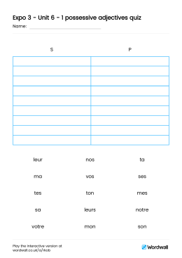 Expo 3 - Unit 6 - 1 possessive adjectives quiz