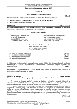 Examenul de bacalaureat național 2017 Proba E. b