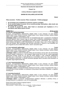 Examenul de bacalaureat național 2017 Proba E. b