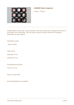 AM8609 Black képkeret