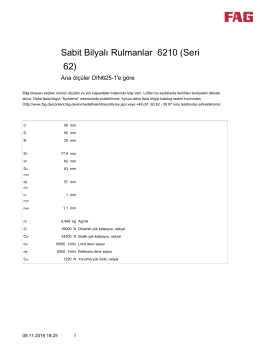 Sabit Bilyalı Rulmanlar 6210 (Seri 62)