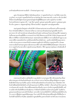 เอกลักษณ์และศิลปะลวดลายบนผืนผ้า : ผ้าทอชนเผ่