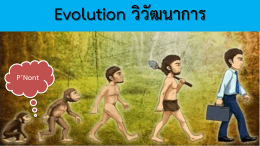 เอกสารประกอบการเรียน