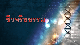 เอกสารประกอบการเรียน