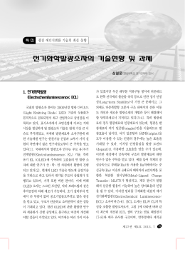 전기화학발광소자의 기술현황 및 과제
