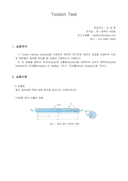 Torsion Test (2015)