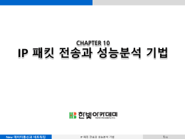 패킷 전방위 전송기법