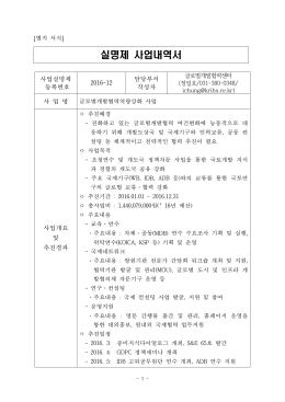 실명제 사업내역서
