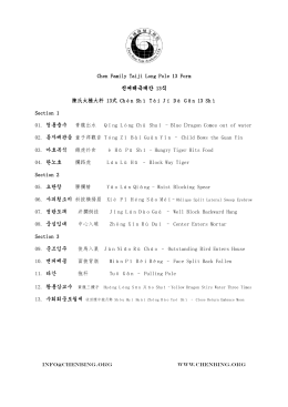 Chen Family Taiji Long Pole 13 Form 진씨태극대간 13식 陳氏太極大