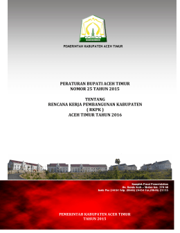 ( rkpk ) aceh timur tahun 2016