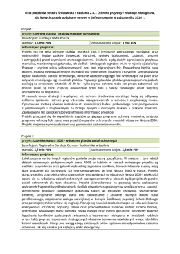 szczeg&oacute;łowymi informacjami o projektach