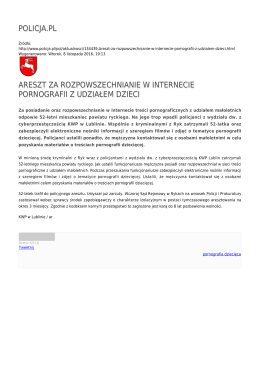 policja.pl areszt za rozpowszechnianie w internecie pornografii z