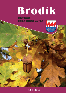 OBCE BOROVNICE 11 | 2016